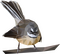 carousel chooser