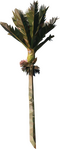 carousel chooser